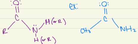 <p>base bonded with NH and an element </p>