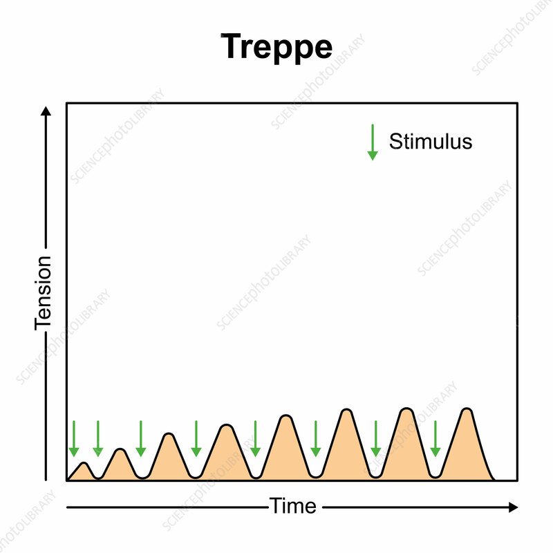 <p>Treppe</p>