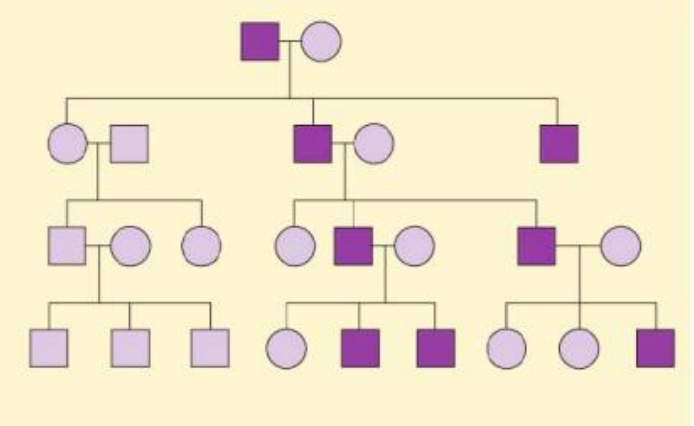 <p>Koks čia pavelėjimas?</p>