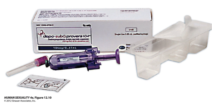 <ul><li><p>Injectable progestogen</p></li></ul><p></p>