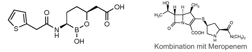<p>β-Lactamaseinhibitoren </p>