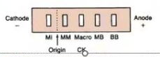 <p>In CK isoenzyme analysis, what is the atypical enzyme?</p>