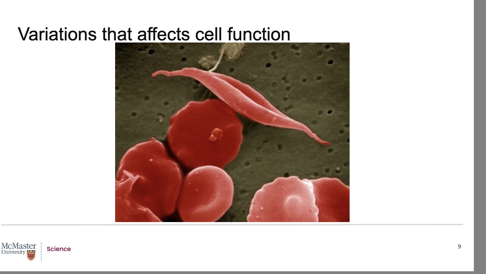 <p><strong>A:</strong></p><ul><li><p><strong>Genetic variations</strong> can influence the <strong>differentiation</strong> (specialization) and <strong>proliferation</strong> (increase in number) of different cell types</p></li><li><p>These variations contribute to <strong>genetic variability</strong>, which can cause:</p><ul><li><p><strong>Negative effects</strong></p></li><li><p><strong>Positive effects</strong></p></li><li><p>Or no noticeable effect in the body</p></li></ul></li><li><p>Genes that code for <strong>important functional proteins</strong> require:</p><ul><li><p><strong>High fidelity replication</strong></p></li><li><p><strong>High fidelity transcription</strong></p></li><li><p><strong>High fidelity translation</strong></p></li></ul></li><li><p>Even <strong>small alterations</strong> in protein‑coding DNA can:</p><ul><li><p>Change a protein’s <strong>shape</strong></p></li><li><p>Alter its <strong>function inside the cell</strong></p></li></ul></li><li><p>Changes at the protein level can have <strong>broader effects throughout the body</strong>, not just in individual cells</p></li></ul><p><span data-name="check_mark_button" data-type="emoji">✅</span> <strong>Memory tip:</strong></p><figure data-type="blockquoteFigure"><div><blockquote><p>Small DNA change → protein shape changes → function changes → body‑wide effects</p></blockquote><figcaption></figcaption></div></figure><p></p>
