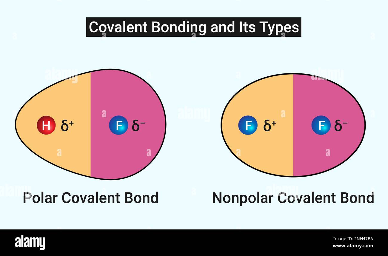 <p>Nonpolar covalent bond </p>