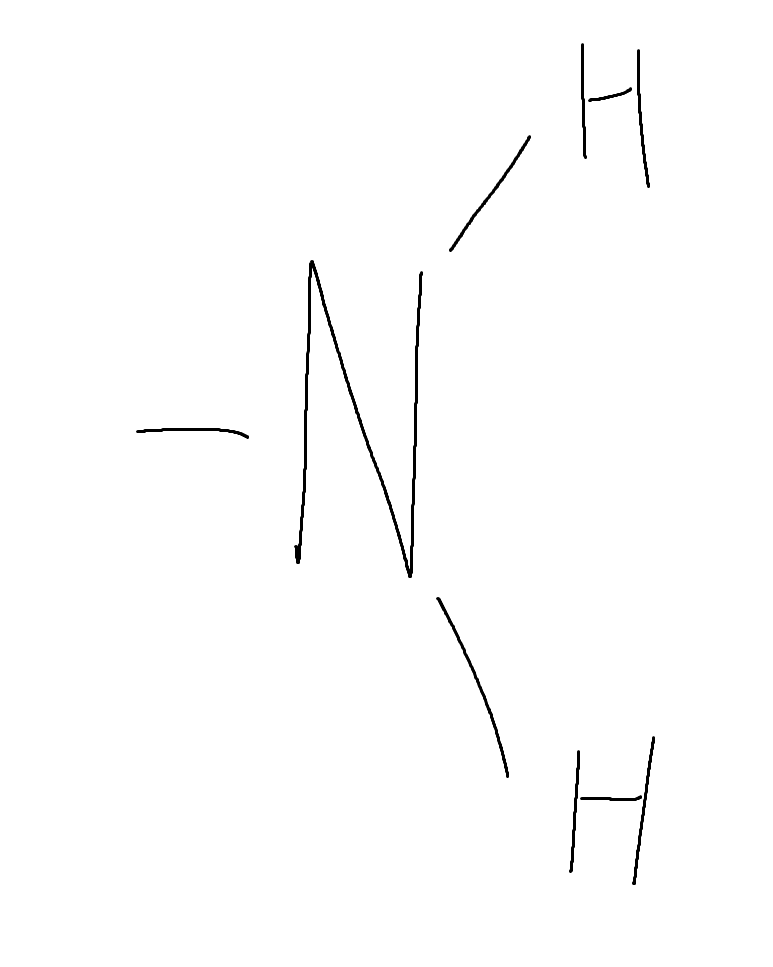 <p>Amine, Base, Cation, Polar/Hydrophilic</p>