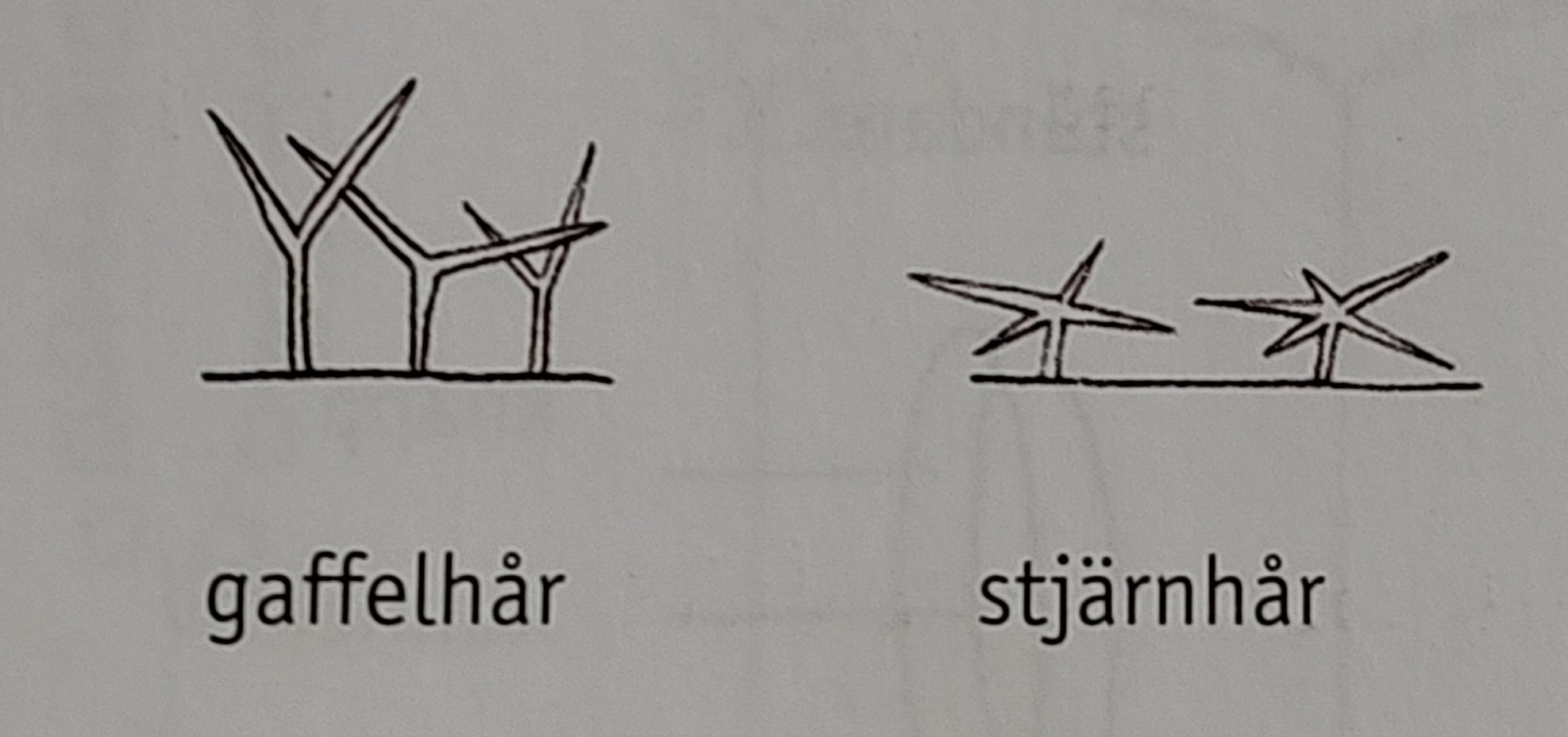 <p></p>