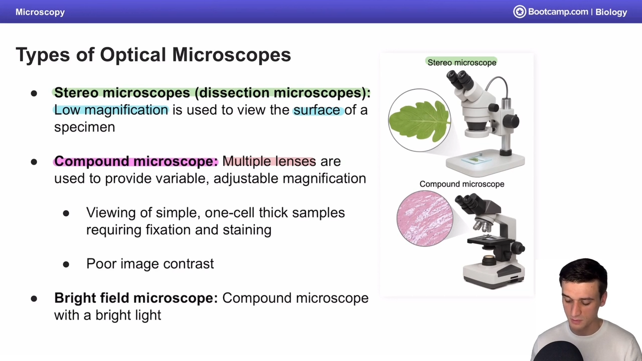 <p>multiple lenses used to provide adjustable magnification, allows for viewing of simple, one cell thick samples requiring fixation and staining </p><p></p><p>poor image contrast </p>