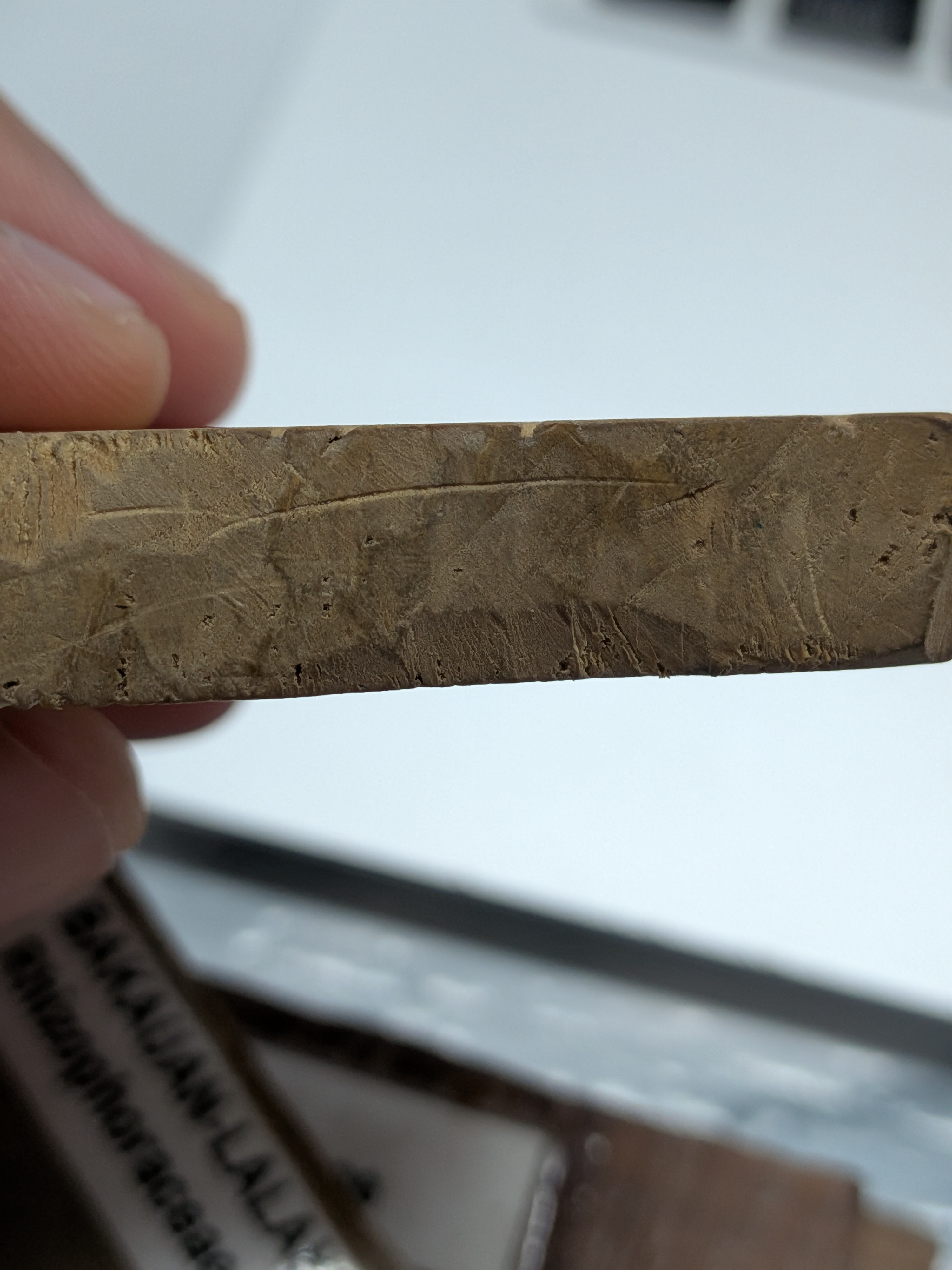 <p>Greenish tint on Cross-section Surface</p>
