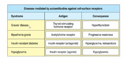 <p>Pathogenic Antibodies: </p><ol><li><p>Complement-mediate lysis (autoimmune hemolytic anemia)</p><ul><li><p>especially for red blood cells (no energy investment into cell defense, because they rapidly turnover) → leads to susceptibility </p></li><li><p>type 2 hypersensitivity reaction → antibody binds to the surface, activates complement, and leads to lysis </p></li><li><p>transfusion reaction </p></li></ul></li><li><p>antibody and complement mediated opsonization </p><ul><li><p>taken up by phagocytosis </p></li></ul></li><li><p>complement-induced inflammation (tissue damage)</p><ul><li><p>type 2 hypersensitivity → antibody binds to surface, activating to complement, leading to inflammation (anaphylatoxin production) </p></li></ul></li><li><p>antibody-antigen complex deposition (kidney damage)</p><ul><li><p>type 3 hypersensitivity → antibody-antigen complexes deposited in tissues, leading to complement activation and tissue </p></li></ul></li><li><p>blockage or stimulation of cell-surface receptors (Graves’ disease, myasthenia gravis) </p><ul><li><p>antibody binds to receptor, blocking receptor and preventing ligand from binding, blocking function </p></li><li><p>can artificially crosslink receptors (overactivation of receptors) </p></li></ul></li></ol><p></p><p>Pathogenic T Cells:</p><ol><li><p>Help for B cells (autoantibody production)</p></li><li><p>Activation and recruitment of innate immune cells (macrophages, neutrophils, etc)</p></li><li><p>Cytokine-mediated inflammation and cytotoxicity</p><ul><li><p>TNF-alpha is toxic at high concentrations </p></li></ul></li><li><p>Direct killing of target cells </p><ul><li><p>CTLs</p></li></ul></li></ol><p></p>