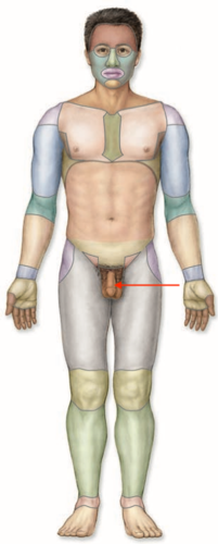 <p>what is this section called?</p>
