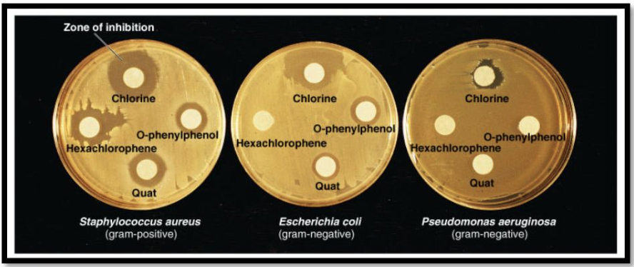 <p><span style="font-size: medium;">The procedure to study the effectiveness of antimicrobial substances utilizes this method</span></p><p>a. free radicals to inhibit microbial growth</p><p>b. disk diffusion method</p><p>c. moist heat sterilization</p><p>d. excision repair</p>