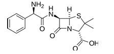 <p>[BROAD SPECTRUM PENICILLINS / AMINOPENICILLINS]</p><p>a. Ampicillin</p><p>b. Amoxicillin</p>