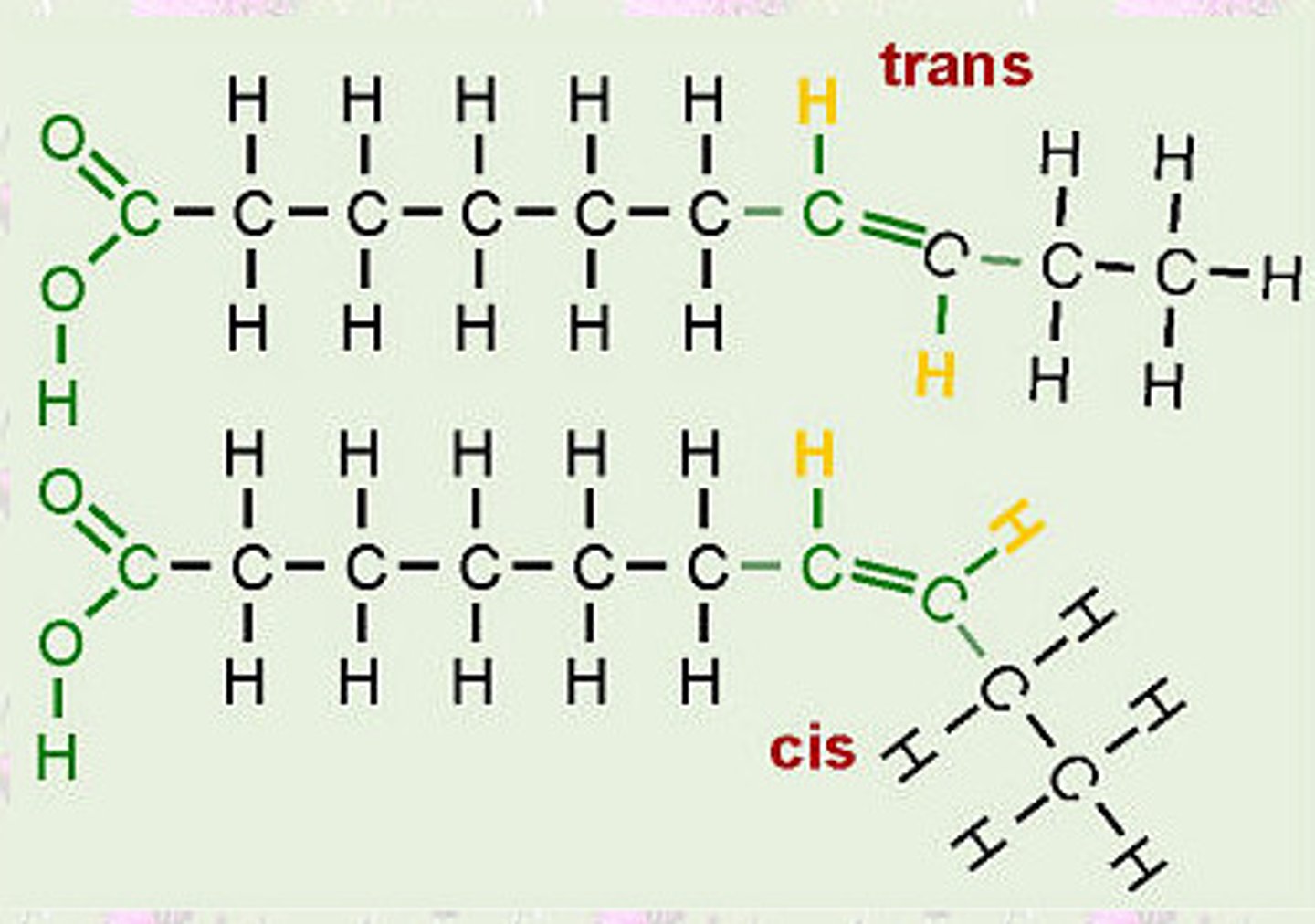 <p>hydrogen on the same side up</p>