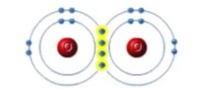 <p>what is this an image of</p>
