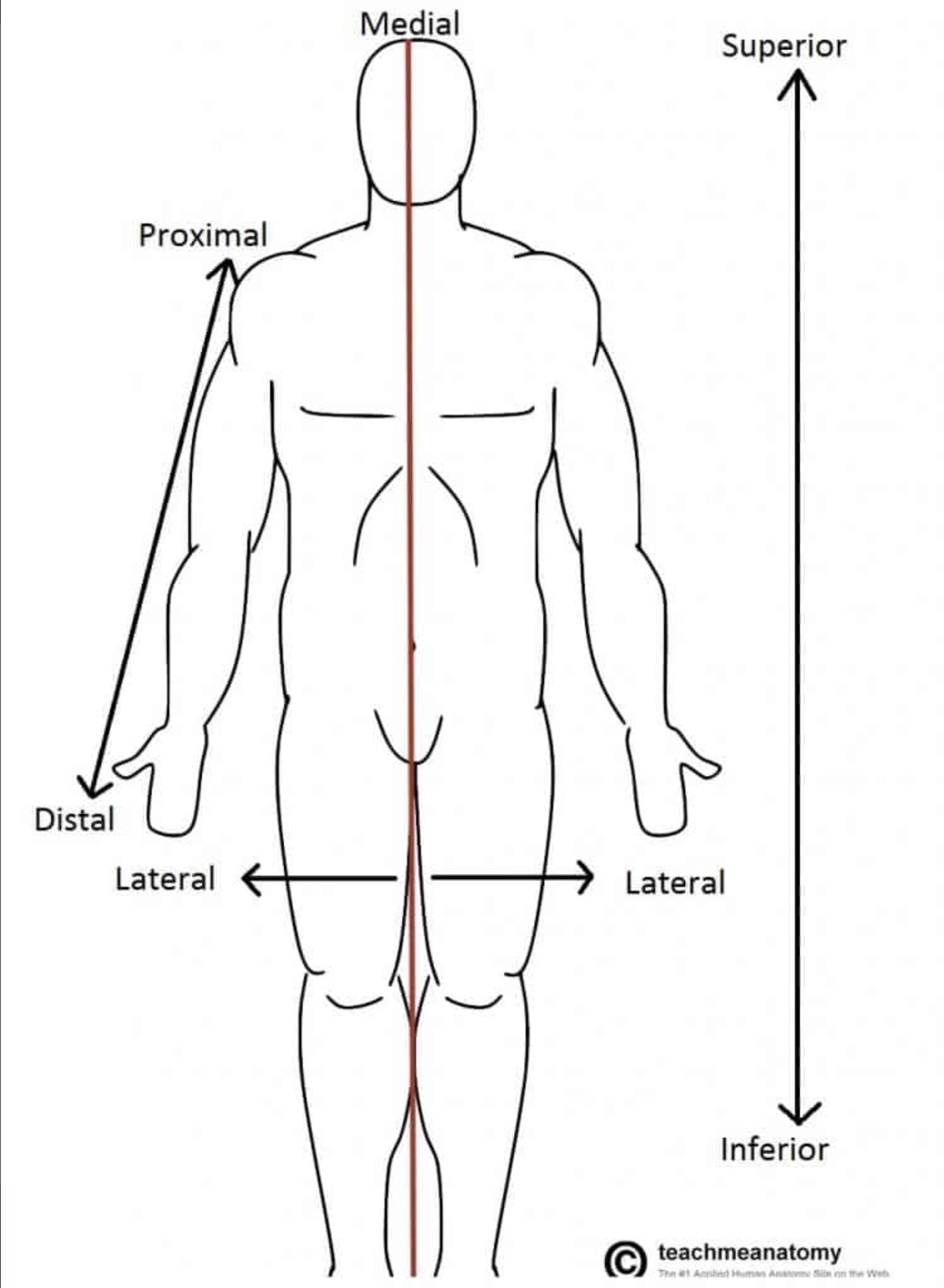 <p>Superior</p>