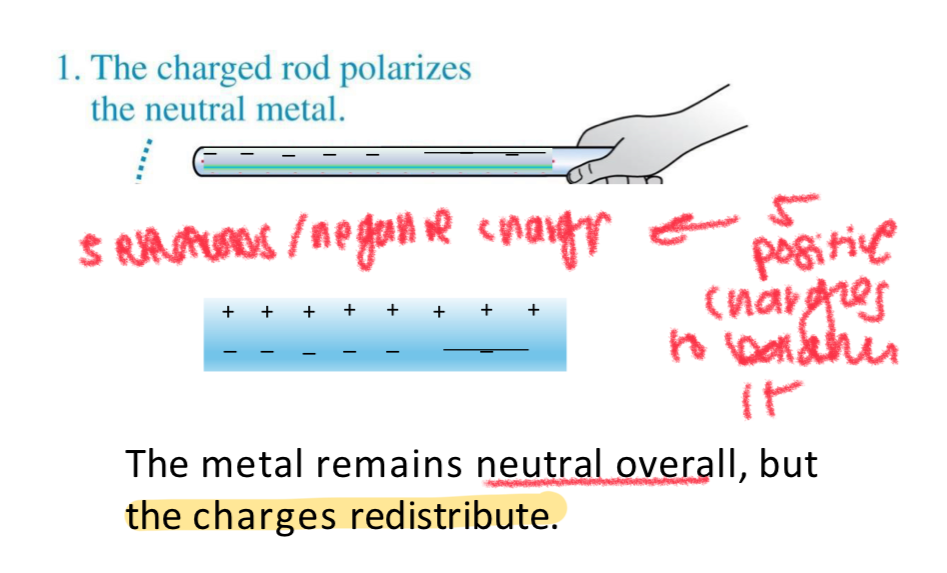 <p>the metal remains neutral even if the charges redistribute (notice how the location of the + and - change but the number of them still even out) </p>