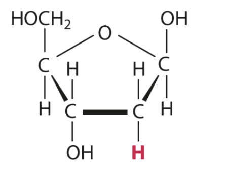 <p>What is this image?</p>