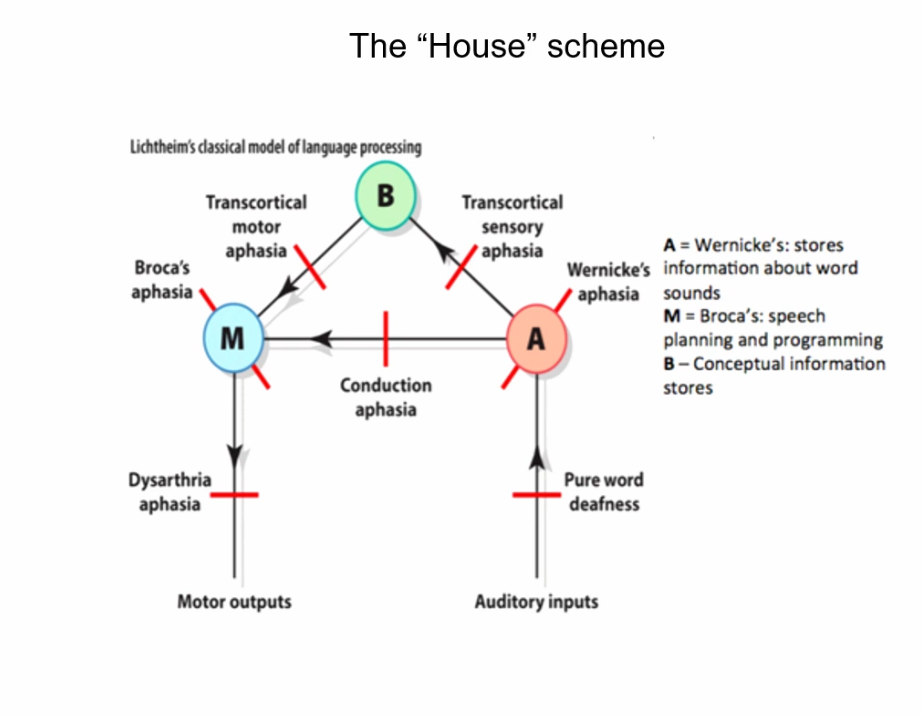 <p>problems comprehending speech</p>