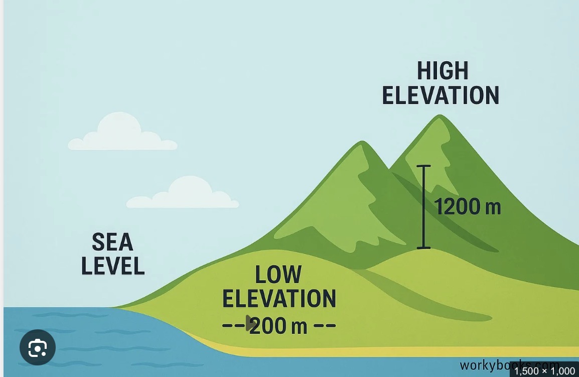 <p>Elevation</p>
