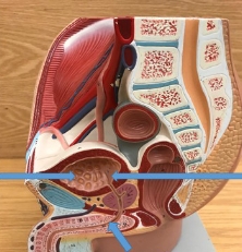 <p>name the parts</p>