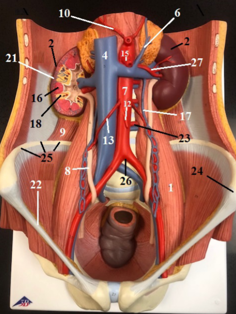 <p>Label All Points on The Diagram</p>