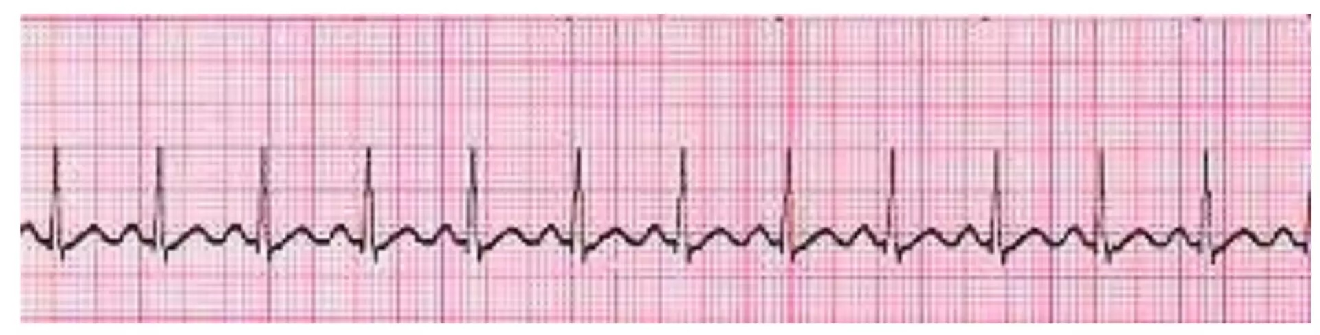 <p>Guess the Rhythm></p>