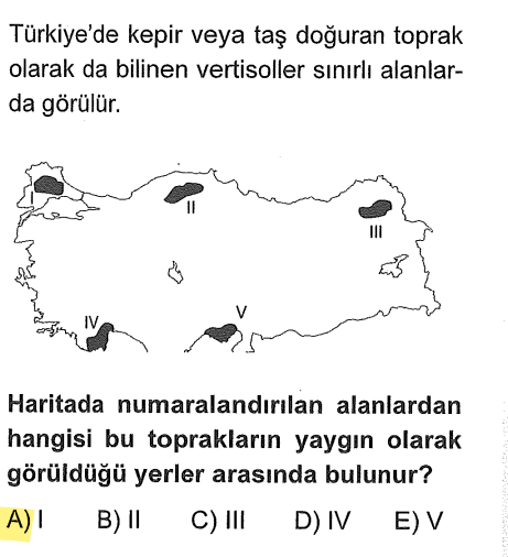 <p>Haritada I numara <strong>Ergene Havzası'nı</strong> (Trakya) gösteriyor. Ayçiçeği tarımı için çok uygundur. Vertisol dendiğinde ilk bakacağın yer Ergene olmalı.</p>