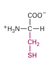 <p>What Structure is this?</p>