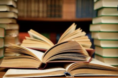 <p>El libro </p>