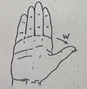 <p>?</p>
