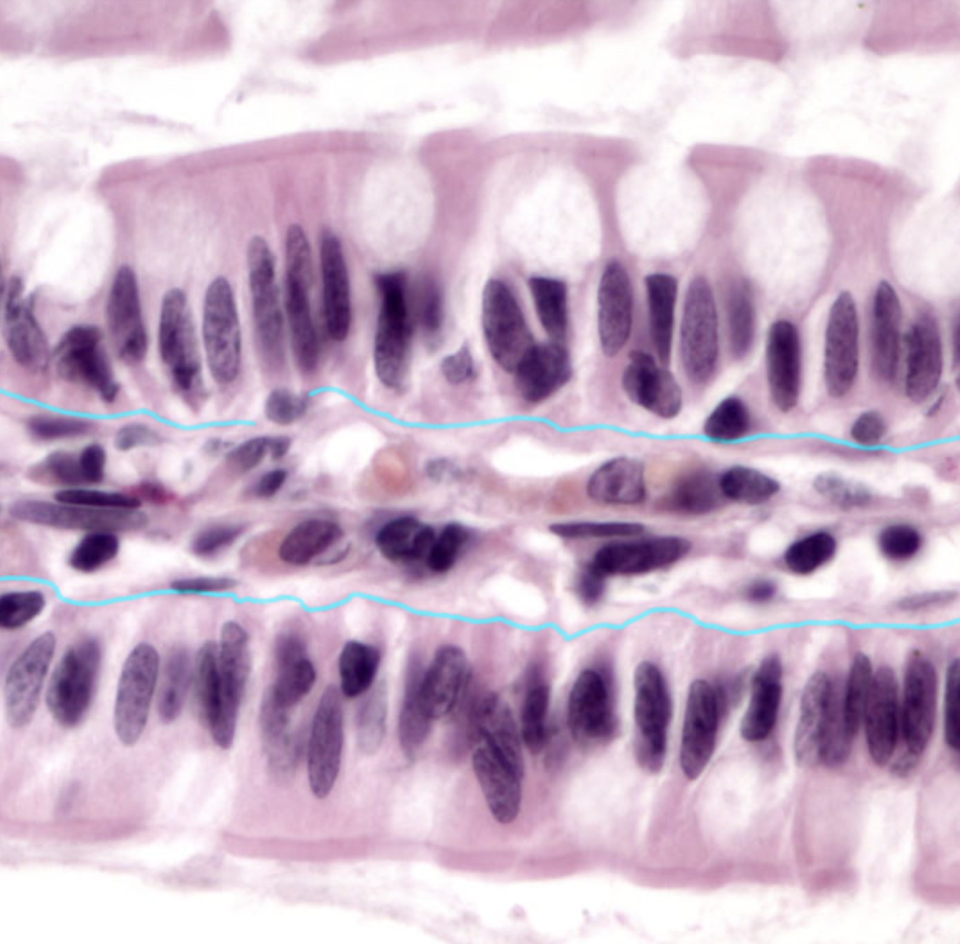 <p>What is highlighted</p>