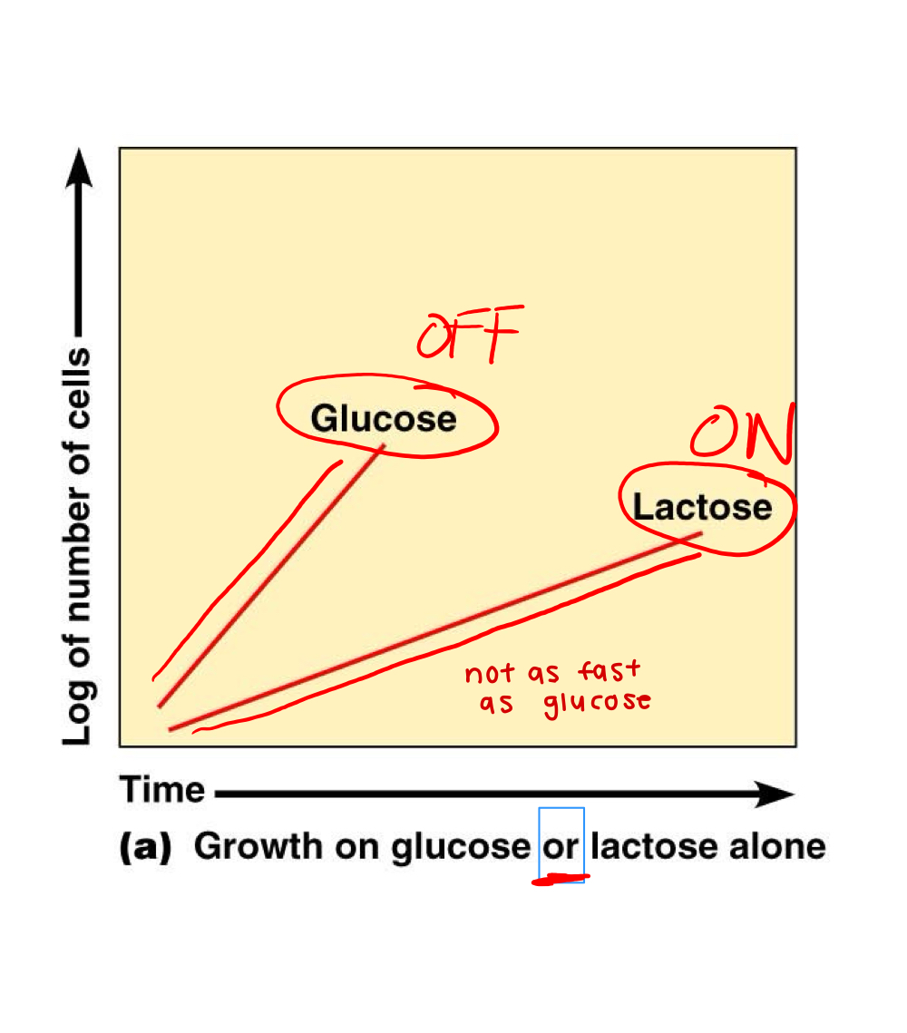 <p>What does this graph represent ?</p>