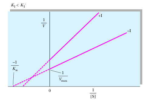 <p>mixed noncompetitive inhibition</p>