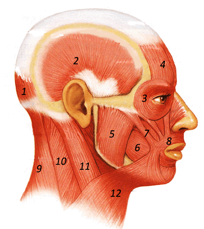 <p>5.</p>
