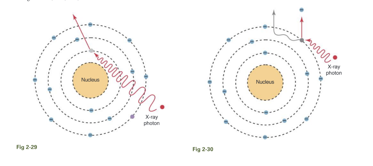 <p>Identify the x-radiation interaction with matter in Figure 2-29.</p>