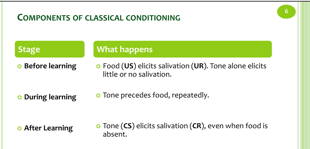 <p>What is classical conditioning? (Pavlov, 1849–1946)</p>