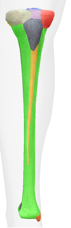 <p>tan</p>