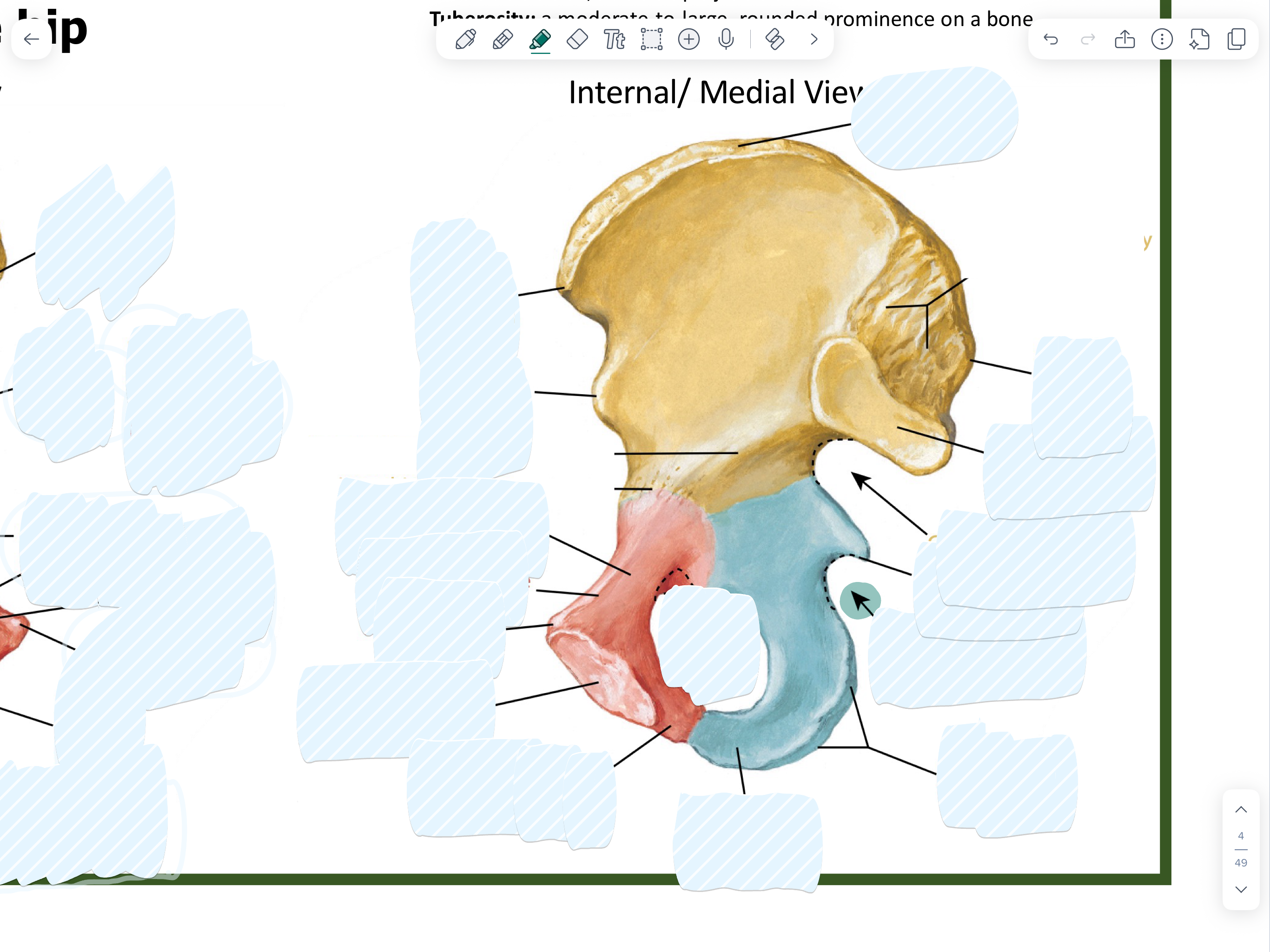 knowt flashcard image