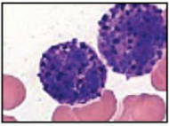 <p>What is this an image of?</p>
