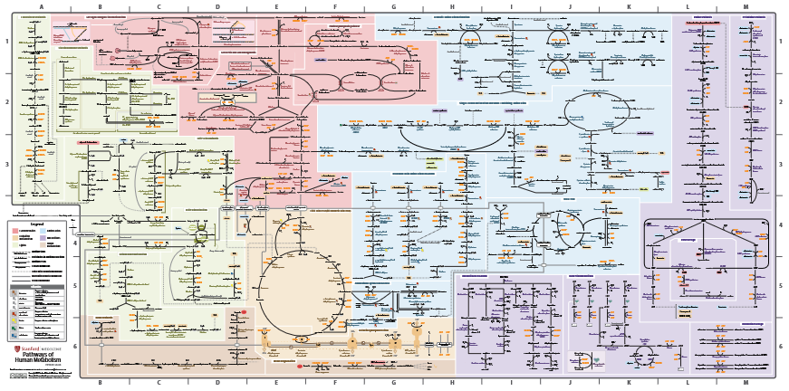 <p><a target="_blank" rel="noopener noreferrer nofollow" class="link" href="https://mededucation.stanford.edu/pathways-download/" data-prevent-progress="true">https://mededucation.stanford.edu/pathways-download/</a></p>