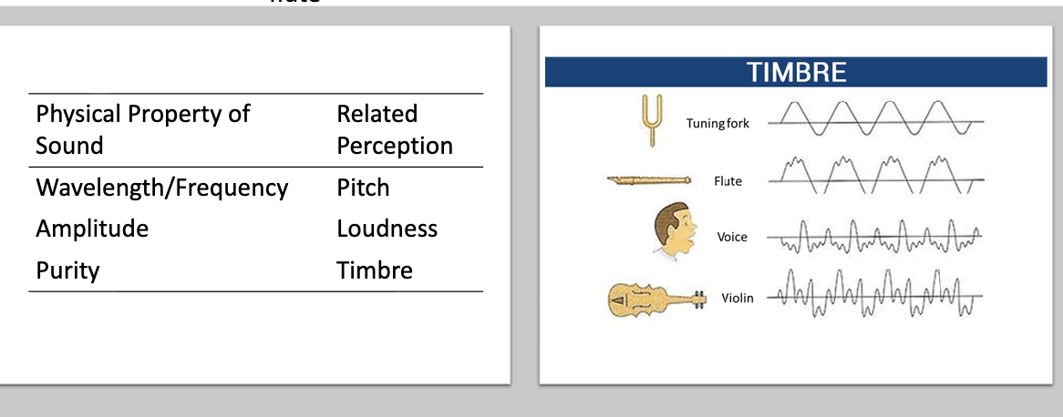 <p>Timbre is what sets apart the sound of a piano from the sound of a flute </p>