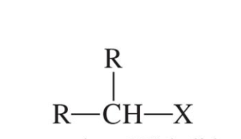 <p>halogen carbon bonded to 2 carbons</p>