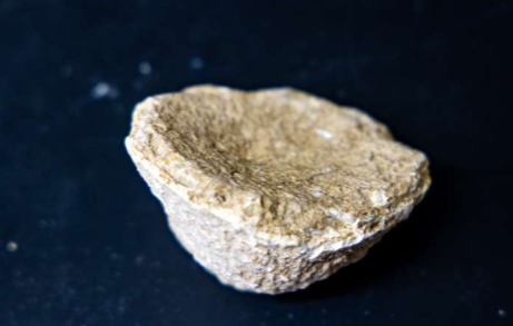 <p>What type of sponge is this?</p>