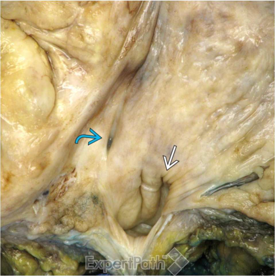 <p>What is this?</p>