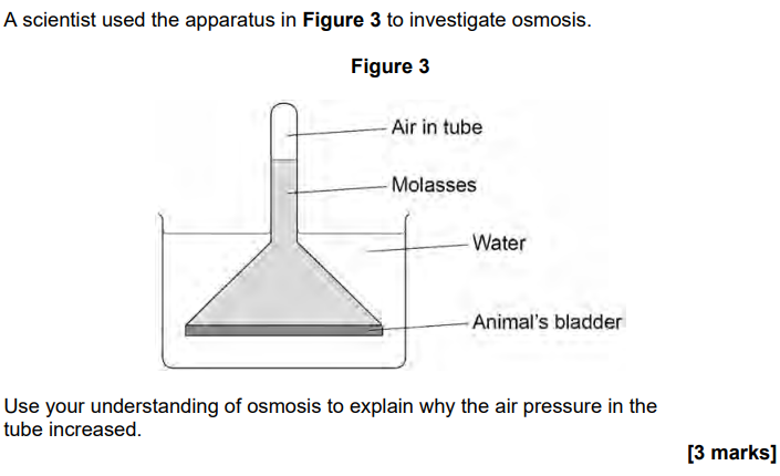 <p>Molasses contains the sugars sucrose, glucose and fructose.</p>