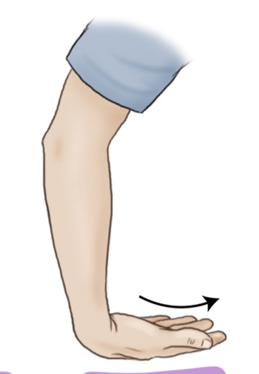 <p>what is the movement here?</p>