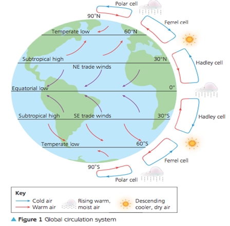 <p>the equator receives the most heat from the sun &amp; the north/south pole the least. this causes a surplus of heat at the equator. to provide polar areas with heat the earth operates the GCS</p>