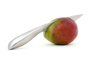 <p>small all-purpose knife</p>