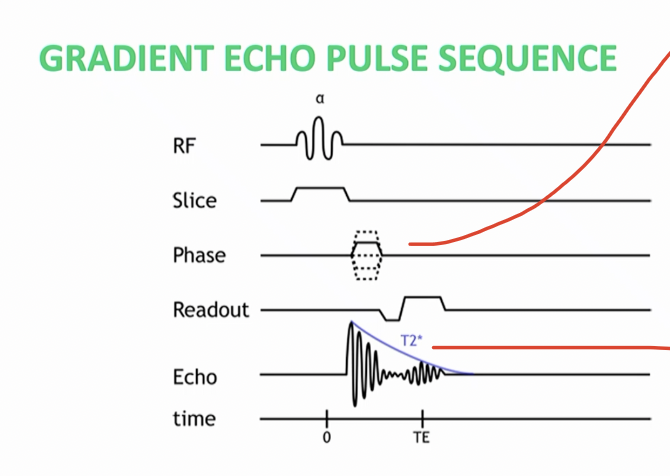 <p>What is bottom red line pointing to</p>