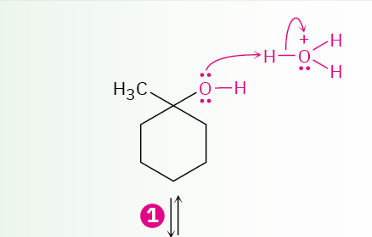 <p>acid-catalyzed dehydration of tertiary alcohol to yield an alkene(mechanism)</p>